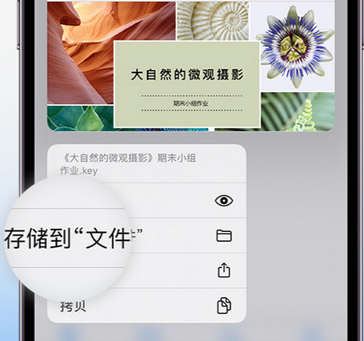 靖边apple维修中心分享iPhone文件应用中存储和找到下载文件