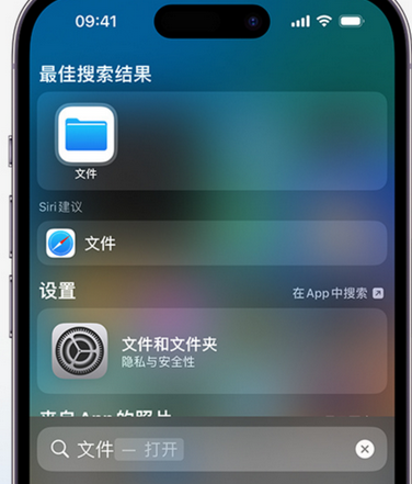 靖边apple维修中心分享iPhone文件应用中存储和找到下载文件