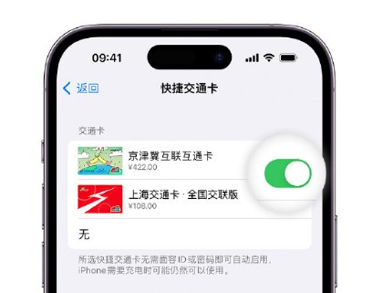 靖边apple维修点分享iPhone上更换Apple Pay快捷交通卡手绘卡面 