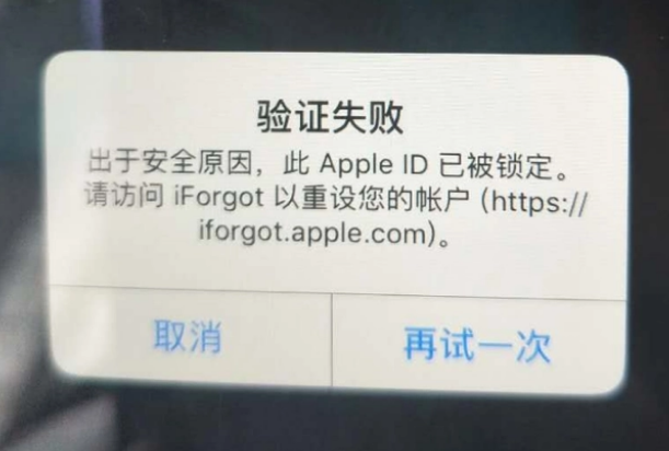 靖边iPhone维修分享iPhone上正常登录或使用AppleID怎么办 