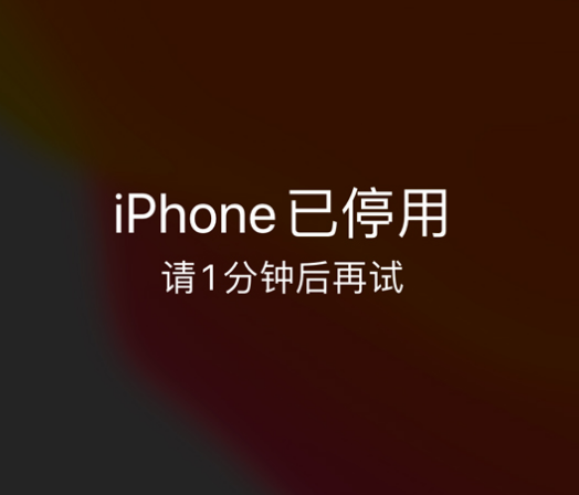 靖边苹果手机维修分享:iPhone 显示“不可用”或“已停用”怎么办？还能保留数据吗？ 