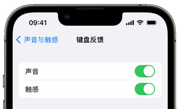 靖边苹果手机维修分享iPhone 14触感键盘使用方法 