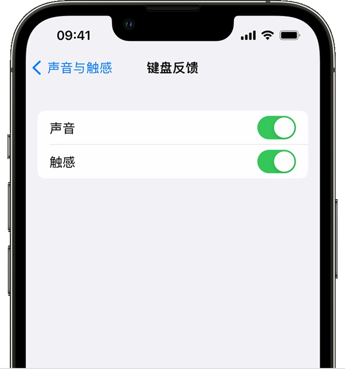 靖边苹果14维修店分享如何在 iPhone 14 机型中使用触感键盘 