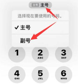 靖边苹果14维修店分享iPhone 14 Pro Max使用副卡打电话的方法 