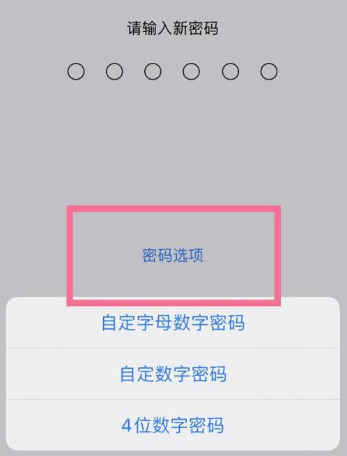 靖边苹果14维修分享iPhone 14plus设置密码的方法 