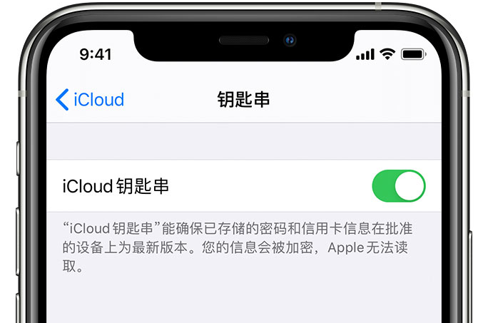 靖边苹果手机维修分享在 iPhone 上开启 iCloud 钥匙串之后会储存哪些信息 