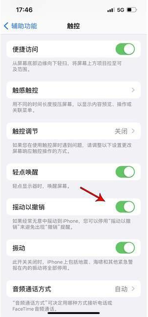 靖边苹果手机维修分享iPhone手机如何设置摇一摇删除文字 